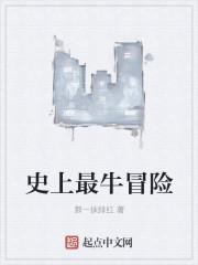 史上最牛冒险百度百科