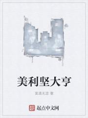 美利坚大亨赵田丰