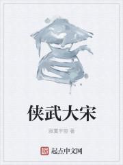 侠武大宋百度百科