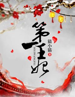 摄政王的第一王妃