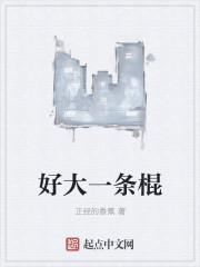 老子是神龙免费阅读全文