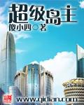 超级岛主TXT资源