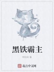 白银霸主与黑铁之堡的联系