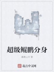 超级鲲鹏技能