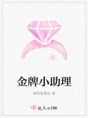 金牌助理讲的是什么