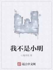 我不是明星小灿