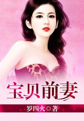 宝贝前妻复婚吧 小十四