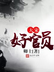 大宋好官员品级