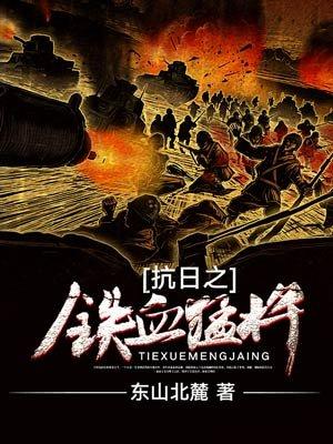 抗日之铁血猛将张贤全文阅读