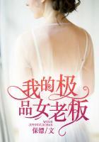 我的极品女老板张馨