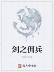 ns佣兵之翼