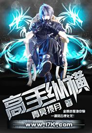 高手纵横 免费