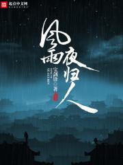 风雨夜归人形容什么