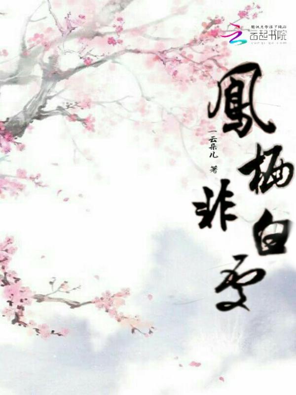 凤栖主角