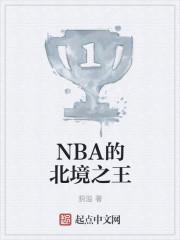nba的北境之王剑走偏锋免费