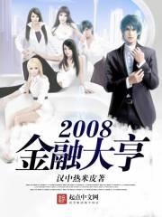 2008年金融