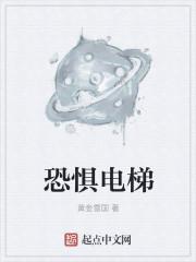 我想看电影恐怖电梯