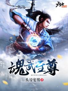 魂武至尊的等级