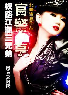 官痞免费阅读权路花途