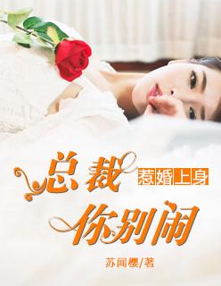 惹婚上身总裁你别闹夏天失踪