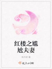 穿越红楼尴尬夫妻的