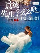 萌宝甜妻总统先生