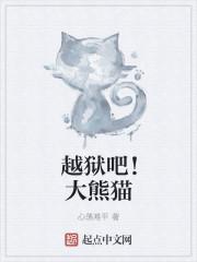 越狱熊猫系统免费阅读