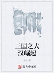 三国之大汉崛起第三卷