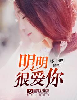明明很爱你却要忘记你完整版