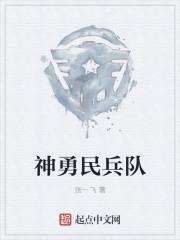 民兵队领队