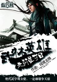 武林英雄nitro