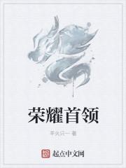 荣耀元首五级