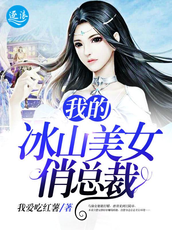 我的冰山美女总裁老婆全本免费阅读