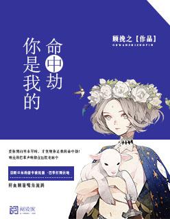 你是我命中的劫难歌曲