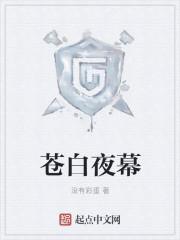 苍白的视觉