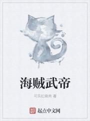 海贼王之帝