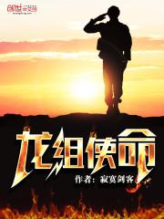 使命枪组组合