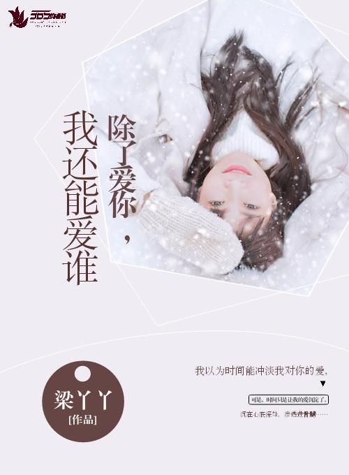 除了爱你还能爱谁歌词