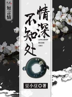 情深不知处演员表