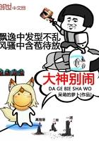 大神别笑txt