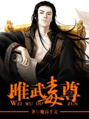 唯武独尊游戏