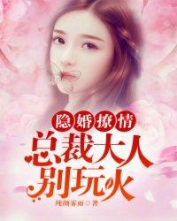 隐婚撩情总裁大人别玩火纯