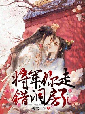将军你走错洞房了TXT