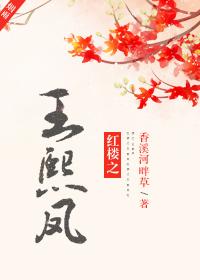 红楼之王熙凤无防盗