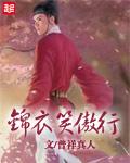 锦衣笑傲行好看吗