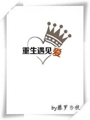 重生遇见爱txt百度