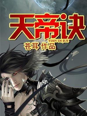 天帝诀 随风漫步