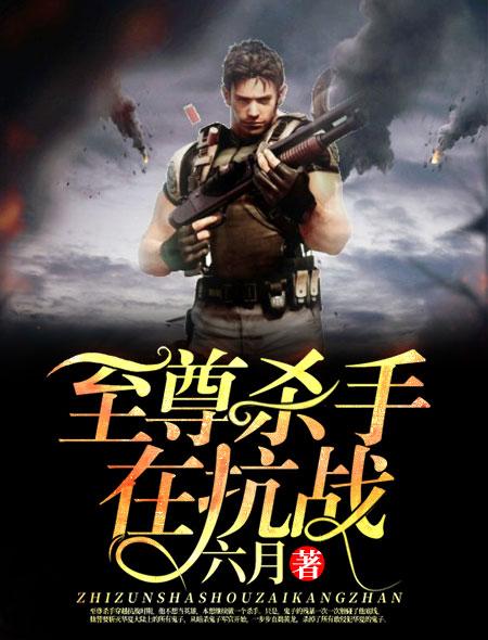 杀手至尊txt
