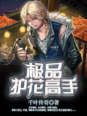 极品护花高手古风