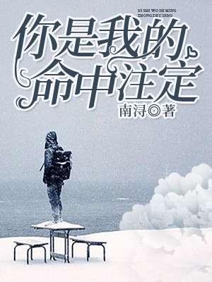 你是我的命中注定分集剧情介绍